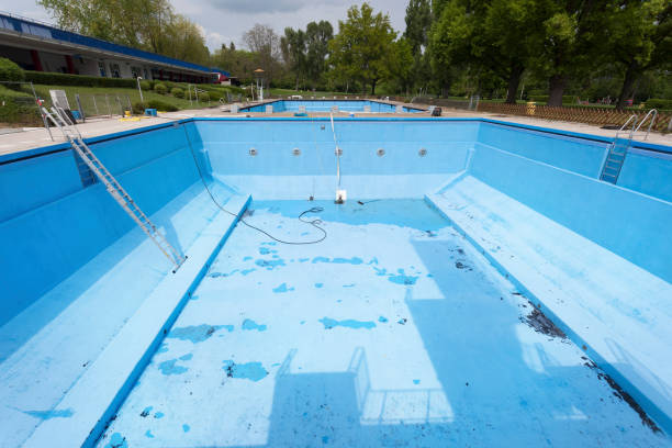 Best Professional water damage repair  in Dewey Humboldt, AZ