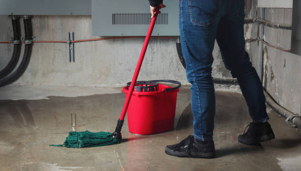 Best Ceiling water damage repair  in Dewey Humboldt, AZ