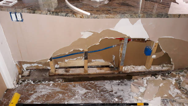 Best Carpet water damage restoration  in Dewey Humboldt, AZ