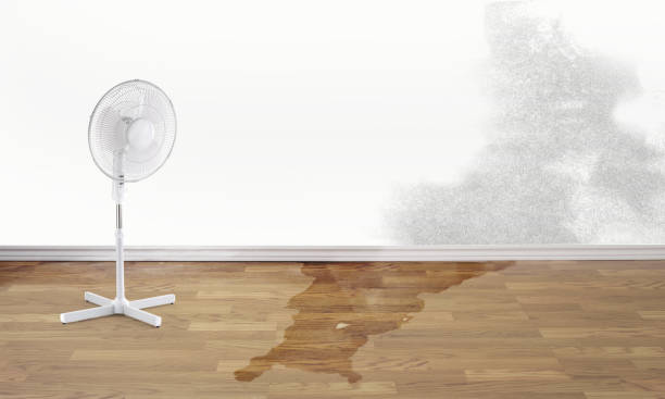 Best Water damage restoration process  in Dewey Humboldt, AZ