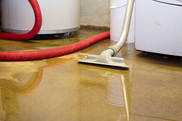 Best Flood damage cleanup  in Dewey Humboldt, AZ