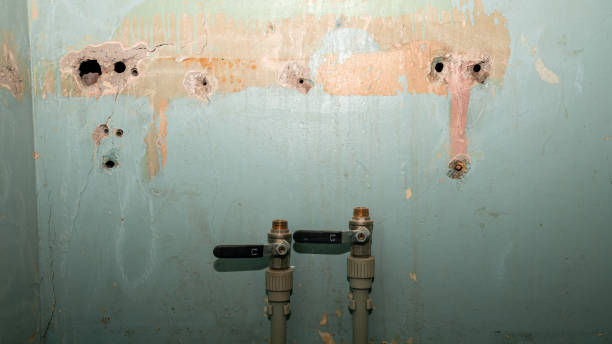 Best Ceiling water damage repair  in Dewey Humboldt, AZ